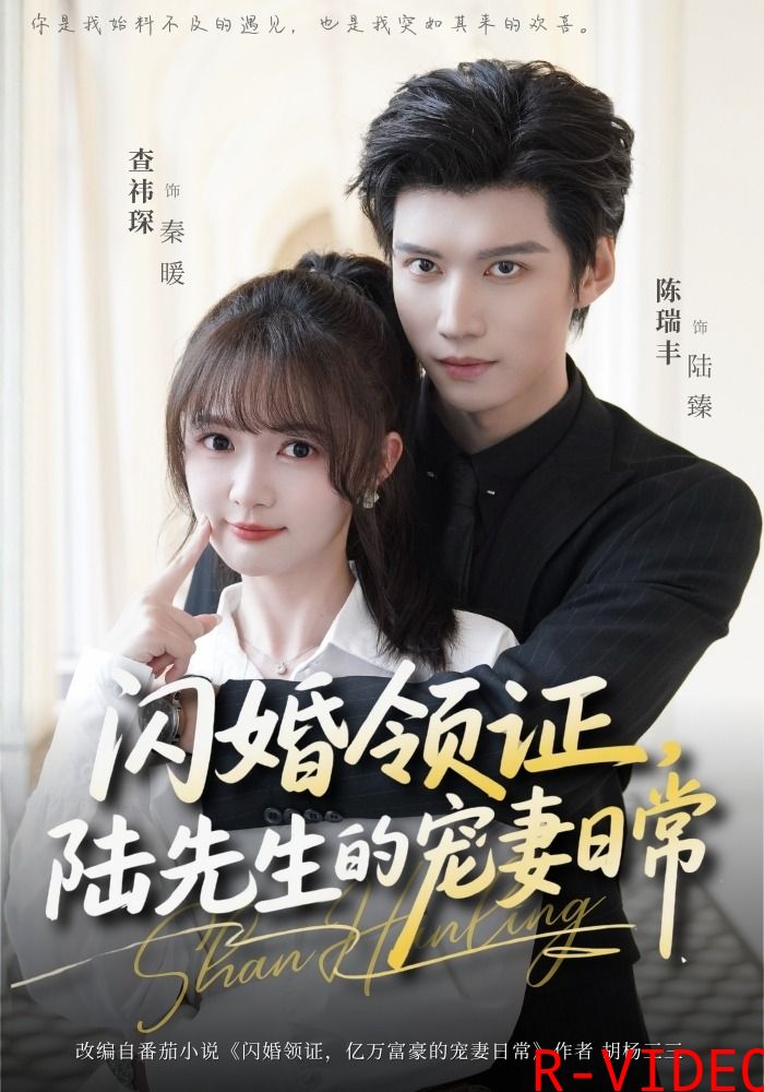 闪婚领证陆先生的宠妻日常